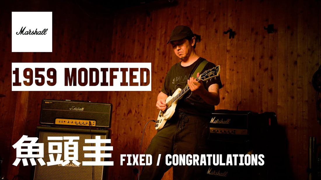 【お知らせ】魚頭圭（FIXED）| 1959 Modified 公式サウンドデモ | Marshall